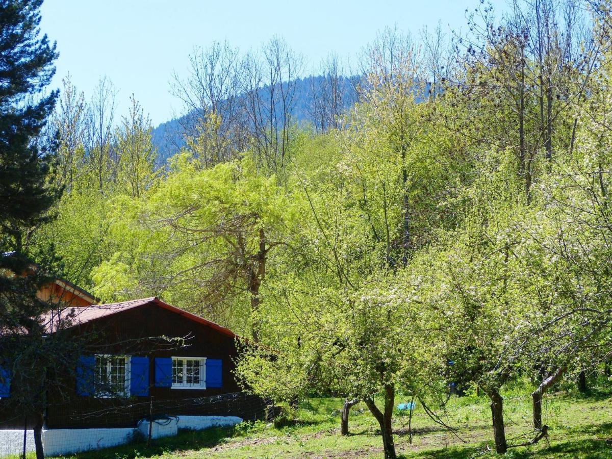 Chalet With Garden In The Pyrenees Villa Roquefort-de-Sault ภายนอก รูปภาพ