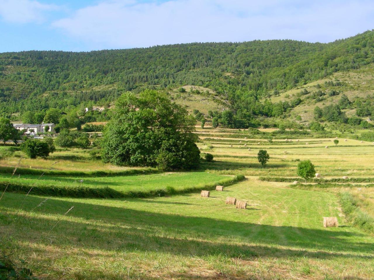 Chalet With Garden In The Pyrenees Villa Roquefort-de-Sault ภายนอก รูปภาพ