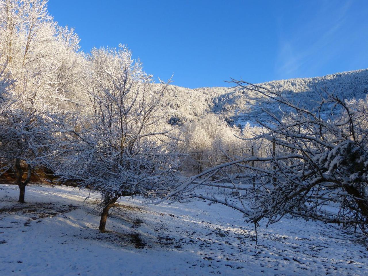 Chalet With Garden In The Pyrenees Villa Roquefort-de-Sault ภายนอก รูปภาพ